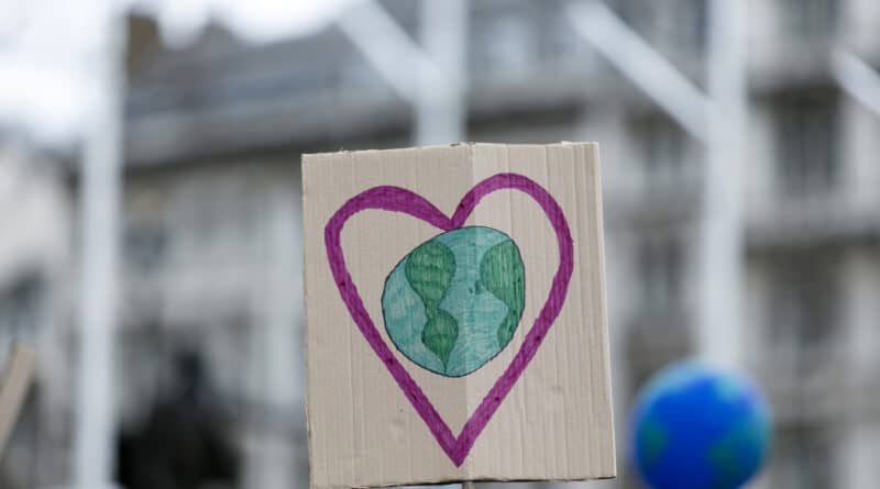 Earth banner