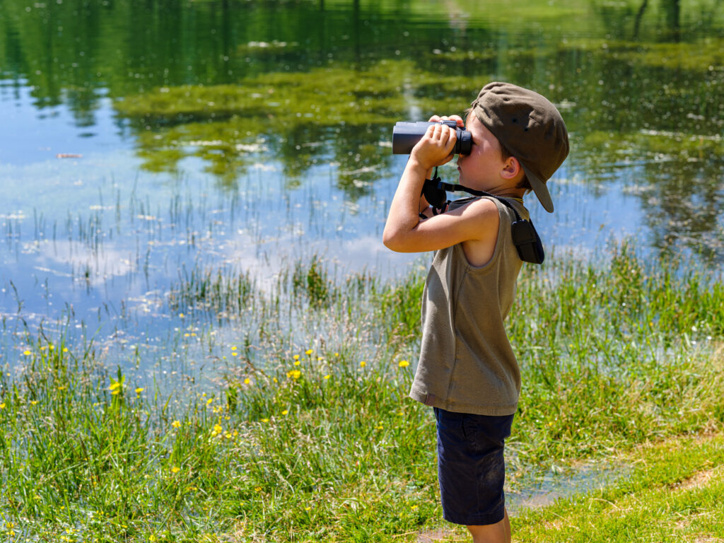 Boy birdwatching
