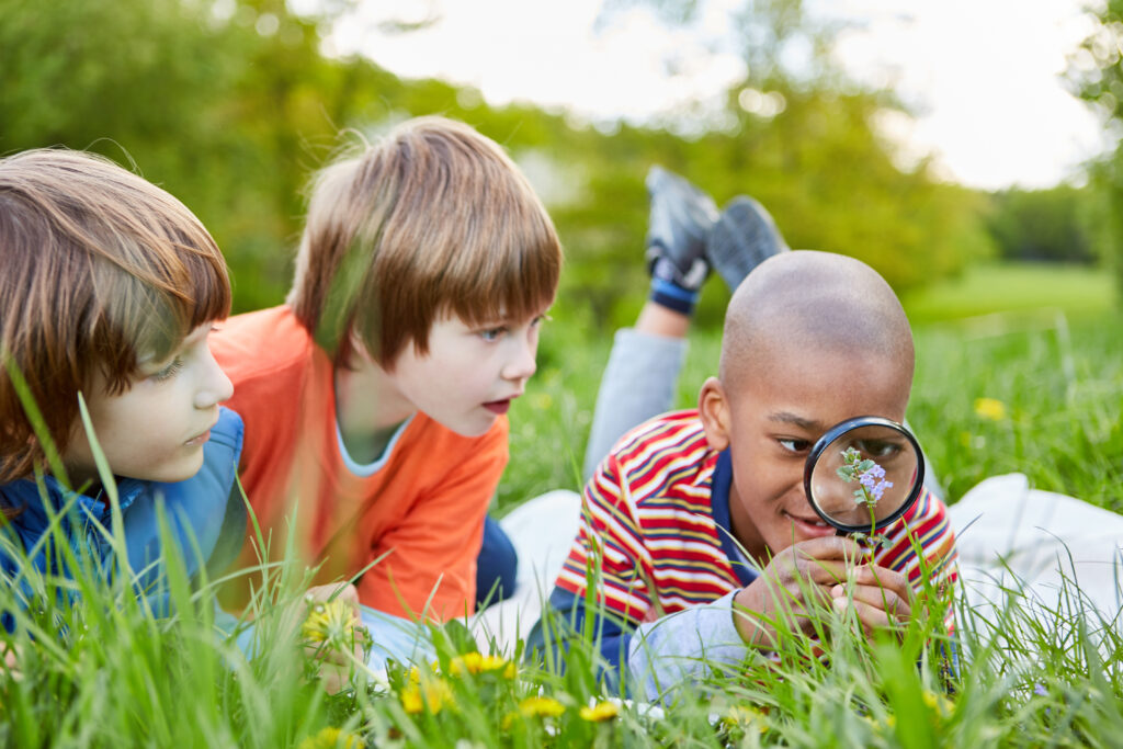 3 kids observing nature