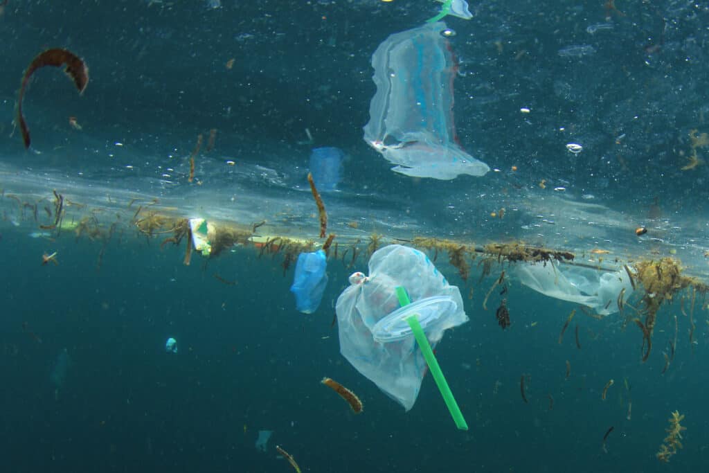 Plastic pollution in the ocean
