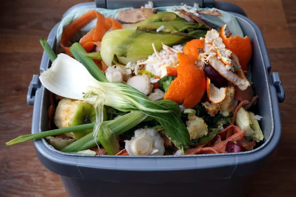 Compostable fruit and vegetable scraps