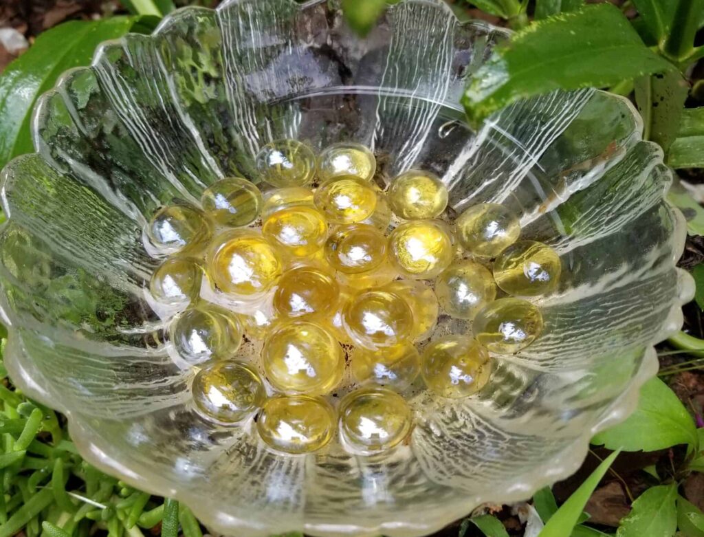 Bee on coneflwer