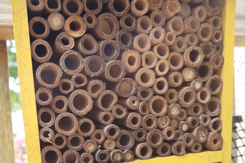 Pollinator hotel