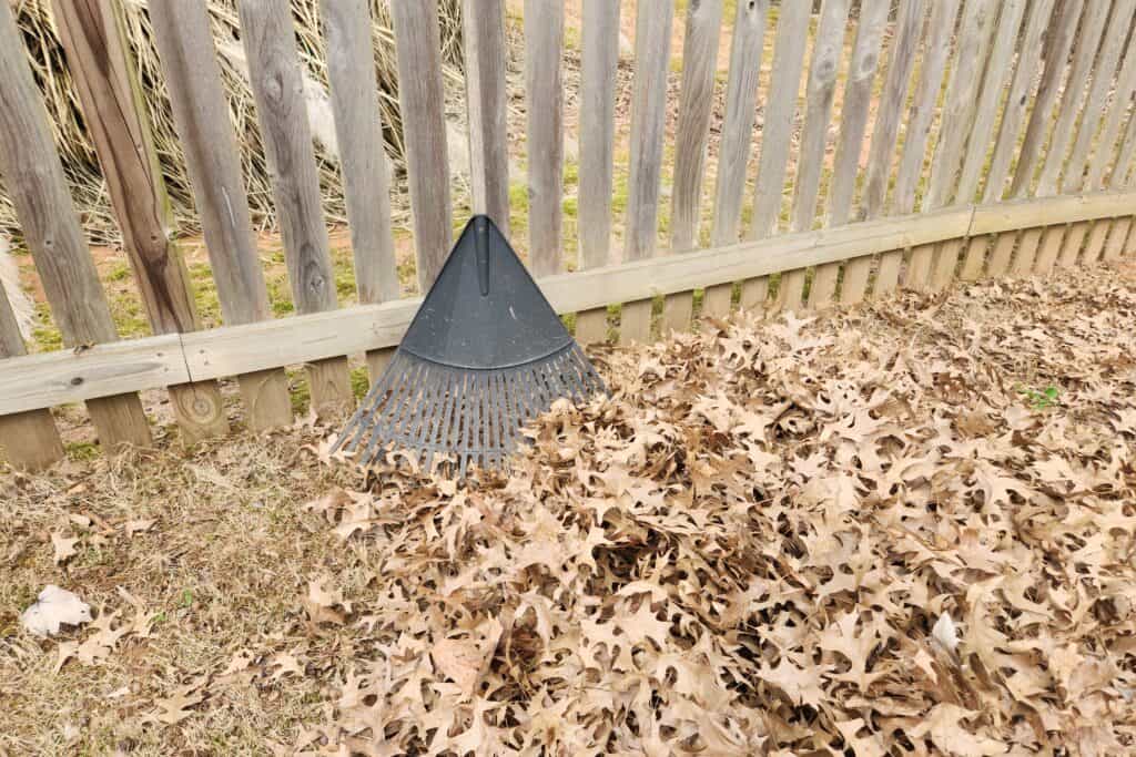 Raking leaves to 